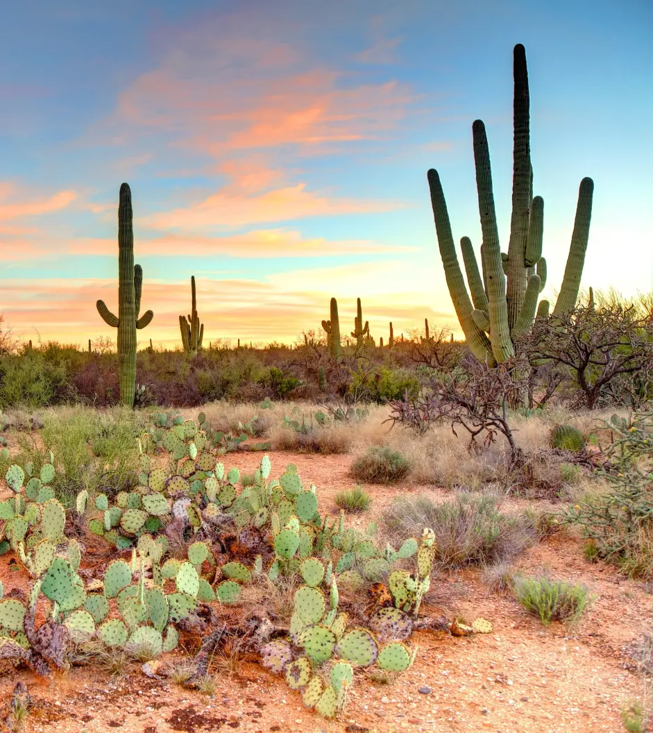 Untitled design – 2025-07-08T191039.134